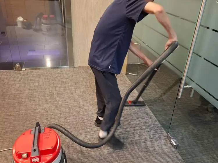 professional cleaning services